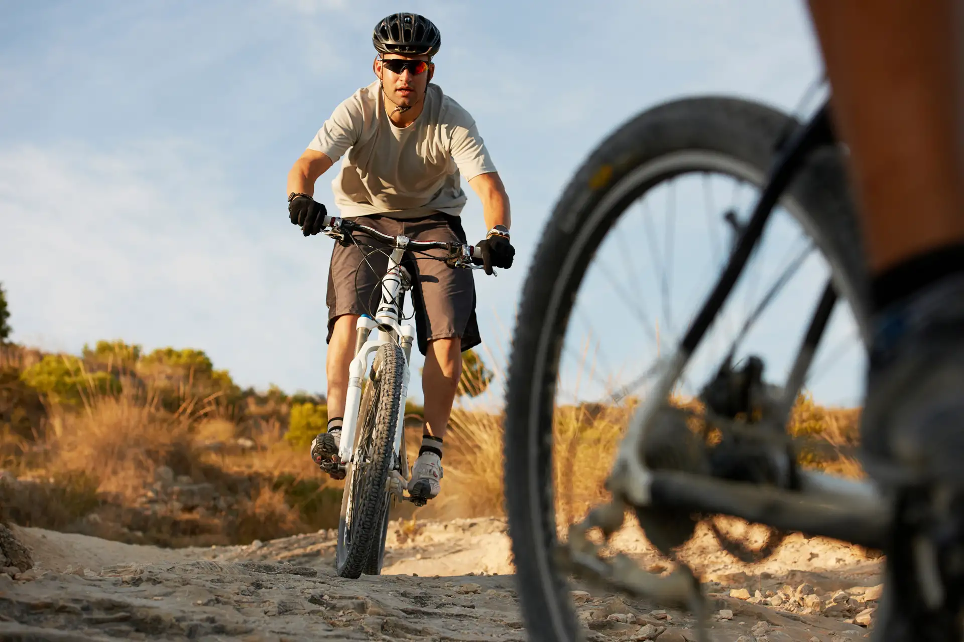 Gite in bicicletta